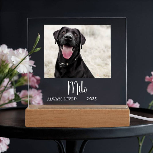 Always Loved – Personalized Pet Memorial Acrylic Light