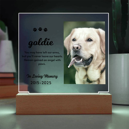 Heaven Gained an Angel – Pet Memorial Light