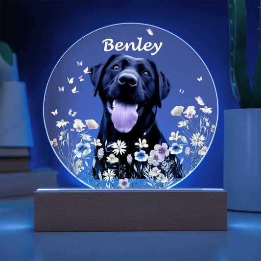 Custom Pet Portrait Night Light