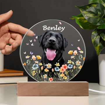 Custom Pet Portrait Night Light