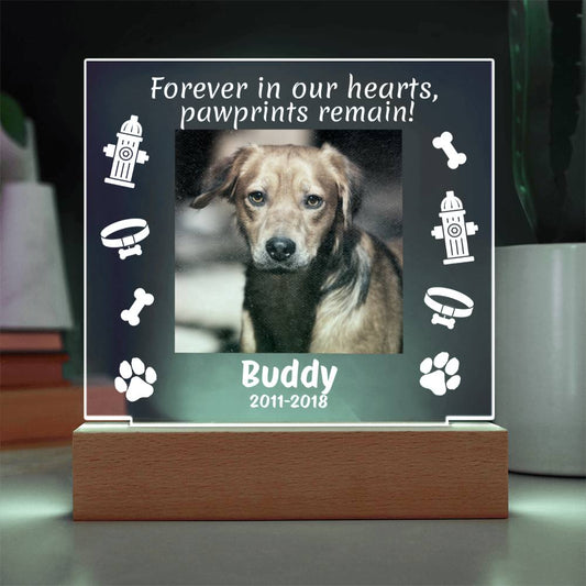 Forever in Our Hearts – Dog Memorial Photo Light