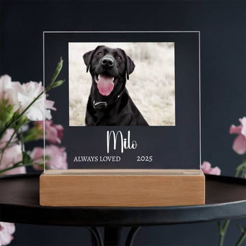 Always Loved – Personalized Pet Memorial Acrylic Light
