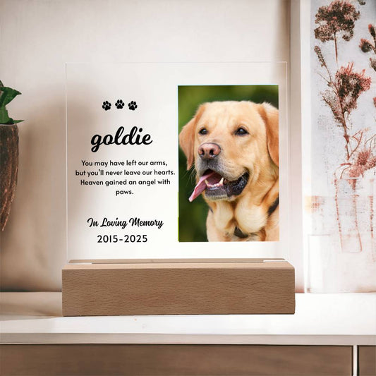 Heaven Gained an Angel – Pet Memorial Light