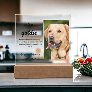 Heaven Gained an Angel – Pet Memorial Light