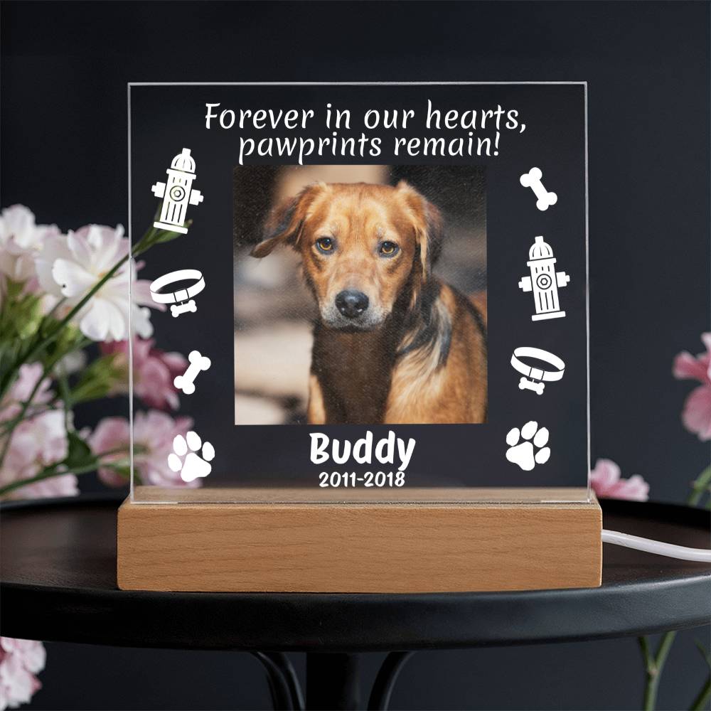 Forever in Our Hearts – Dog Memorial Photo Light