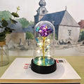 LED Galaxy Rose - Eternal Rose LED Light - forallmylove39