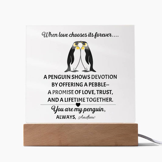 You Are My Penguin – Printed Square Acrylic Plaque