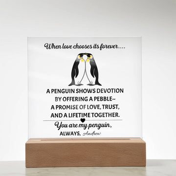 You Are My Penguin – Printed Square Acrylic Plaque