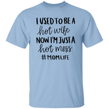 I Used To be a Hot Wife T-Shirt