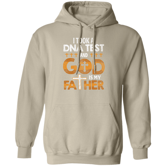 I Took A DNA Test Pullover Hoodie