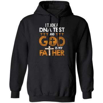 I Took A DNA Test Pullover Hoodie